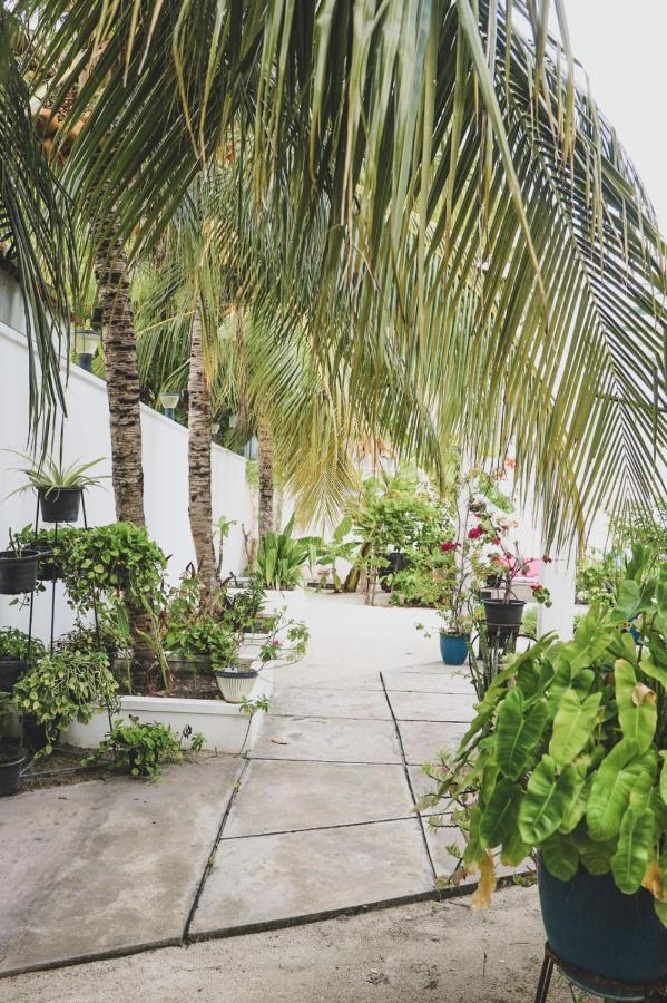 Fiyala Homestay Addu City Exterior foto