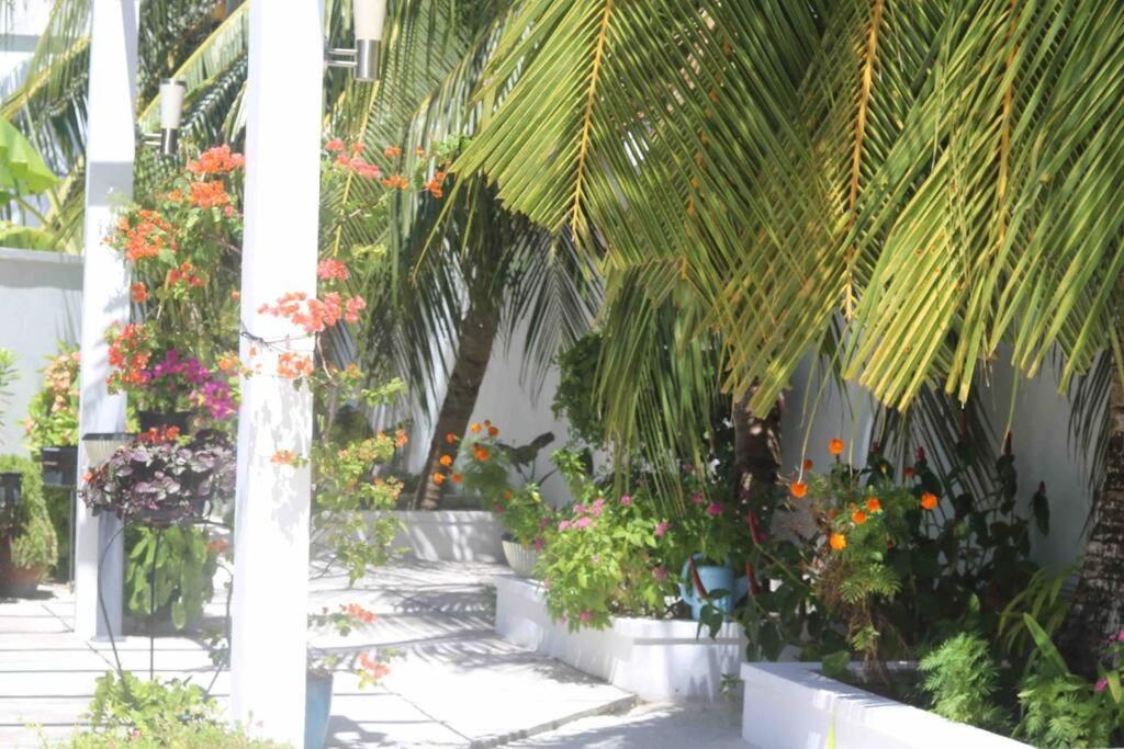 Fiyala Homestay Addu City Exterior foto